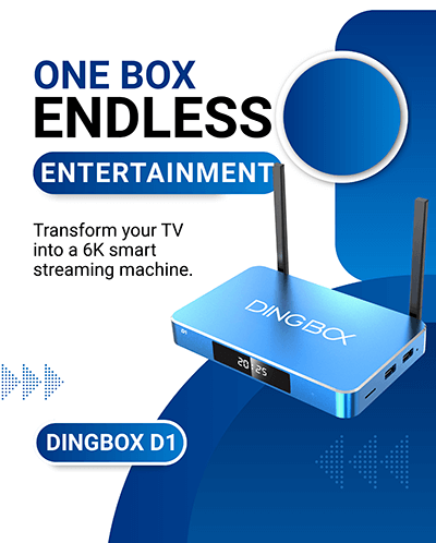 dingbox-d1