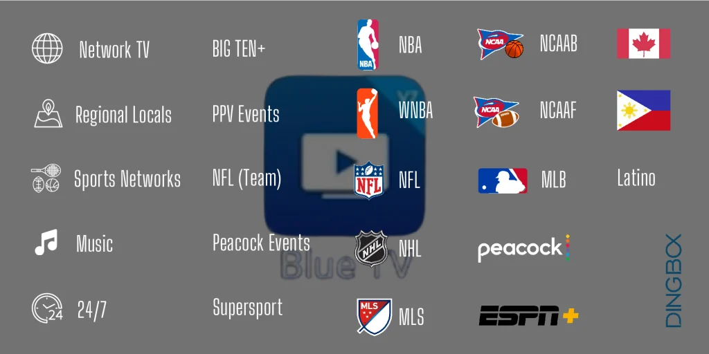 dingbox blue tv channel categories